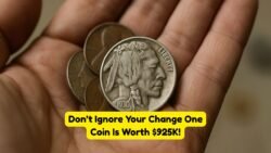 Collector Shocked by Discovery of $925,000 Buffalo Nickel