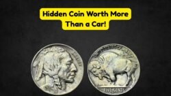 Forgotten Buffalo Nickel in Piggy Bank Surprises with Value in the Thousands